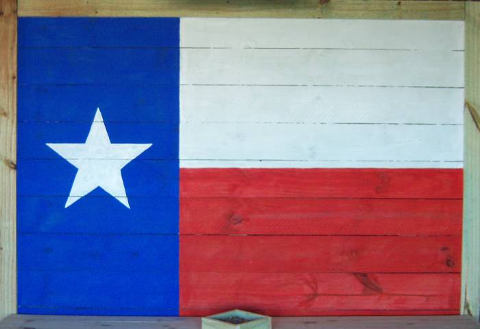 large_texas_flag1.jpg